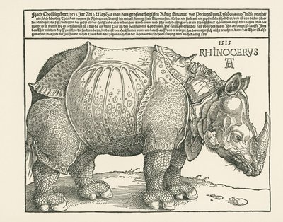 Das Nashorn von Albrecht Dürer or Duerer