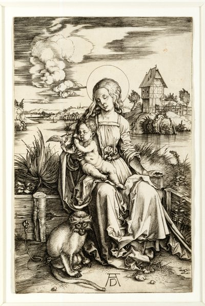 Jungfrau und Kind mit Affe von Albrecht Dürer