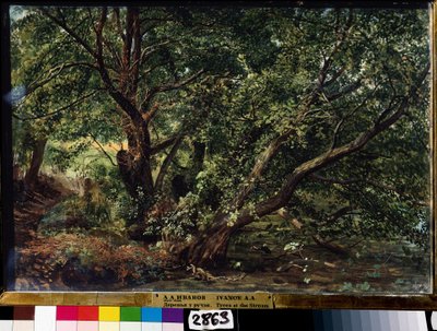 Die Bäume am Fluss von Aleksandr Andreevich Ivanov