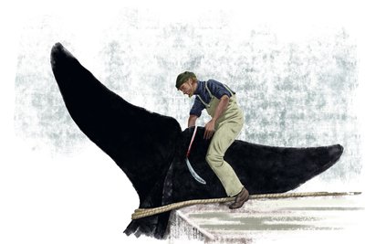 Walfängerboot schneidet den Schwanz eines Wals ab von Alessandro Lonati