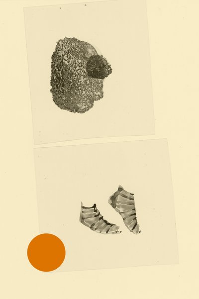 Kopffüßler von Alexander Adiels