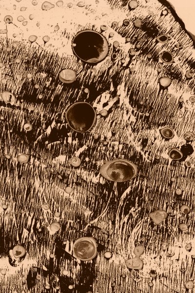 Sauerstoff von Alexander Adiels