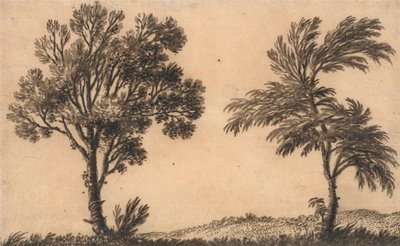 Studie von zwei Weiden von Alexander Cozens