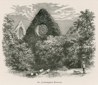 Dryburgh Abbey, St. Catherines Fenster von Alexander Francis Lydon