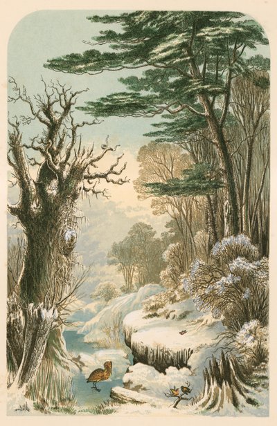 Illustration für Longfellows 