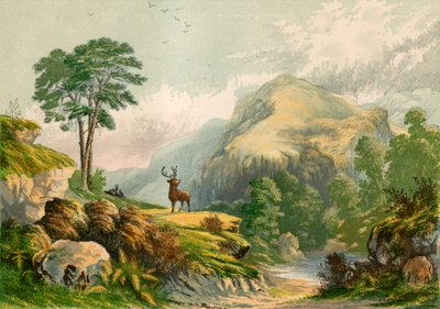 Illustration für Wilsons Ansprache an einen wilden Hirsch von Alexander Francis Lydon