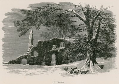 Kirkstall Abbey, Küche von Alexander Francis Lydon