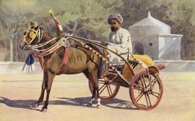 Ein Benares Ekka von Alexander Henry Hallam Murray