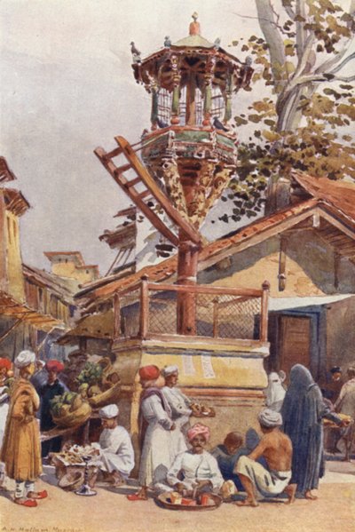 Ein Futterplatz für Vögel, Ahmedabad von Alexander Henry Hallam Murray