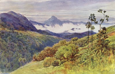 Morgennebel im Tal des Mahawelli Gangha (Farblithografie) von Alexander Henry Hallam Murray