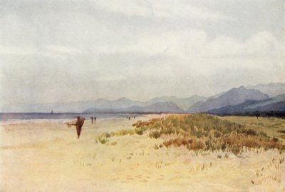 Die Küste nördlich von Viareggio von Alexander Henry Hallam Murray