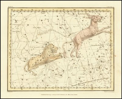 1822 - Alexander Jamieson - Luchs & Kleiner Löwe von Alexander Jamieson