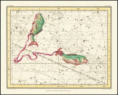 1822 - Alexander Jamieson - Fische von Alexander Jamieson