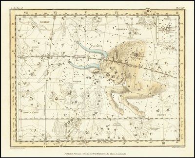 1822 - Alexander Jamieson - Stier von Alexander Jamieson