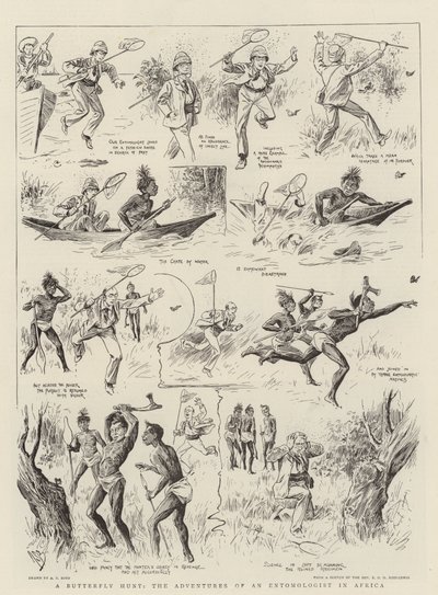 Eine Schmetterlingsjagd, die Abenteuer eines Entomologen in Afrika von Alexander Stuart Boyd