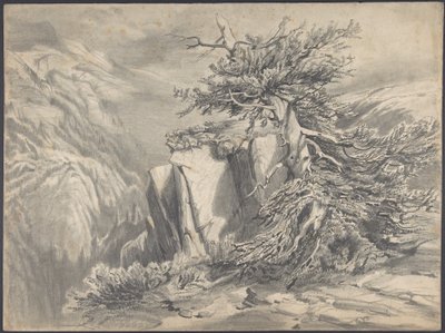 Gebrochener Baum in bergiger Landschaft von Alexandre Calame