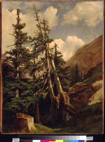 Tannen in den Bergen von Alexandre Calame