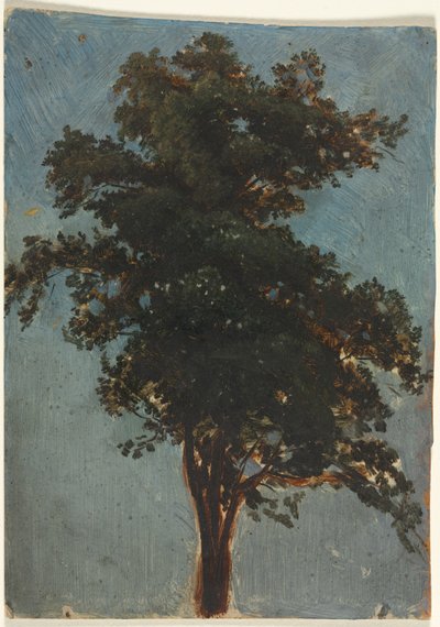 Baumstudie von Alexandre Calame