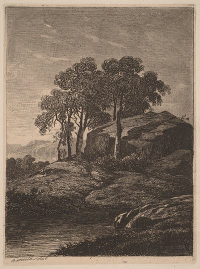 Bäume bei einem Felsen von Alexandre Calame