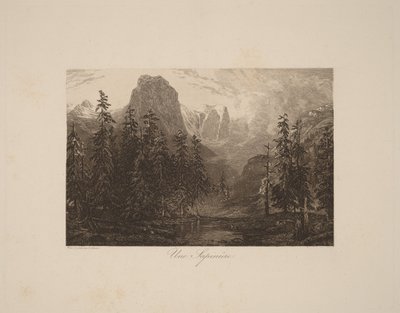 Ein Tannenwald von Alexandre Calame