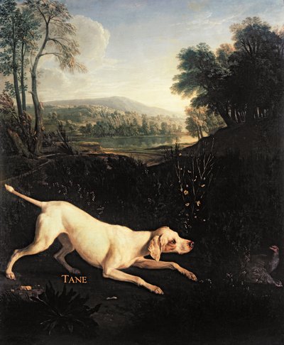 Louis XIVs Hund, Tane von Alexandre Francois Desportes