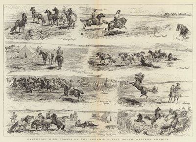 Einfangen von Wildpferden auf den Laramie-Ebenen, Nordwestamerika von Alfred Chantrey Corbould
