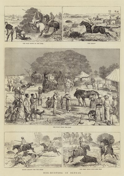 Schweinejagd in Bengalen von Alfred Chantrey Corbould