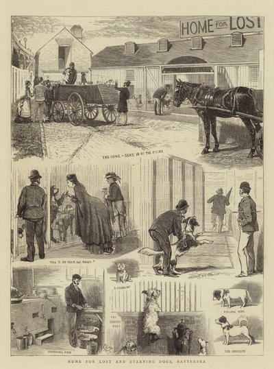 Heim für verlorene und hungernde Hunde, Battersea von Alfred Chantrey Corbould