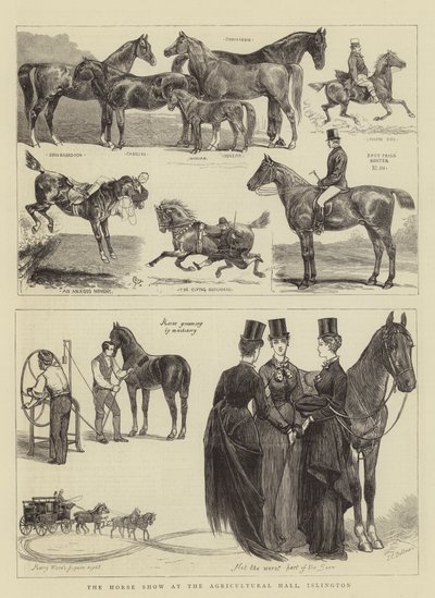 Die Pferdeschau in der Landwirtschaftshalle, Islington von Alfred Chantrey Corbould