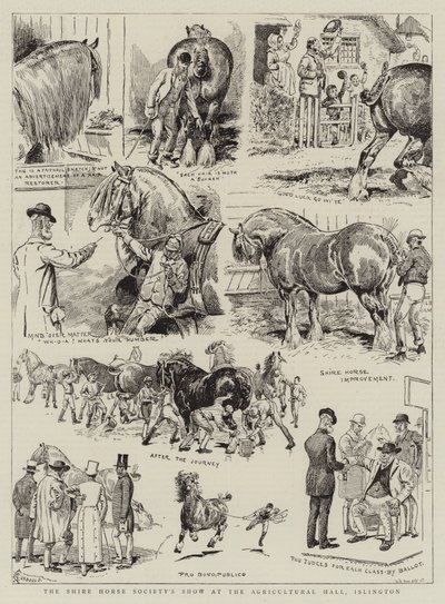 Die Show der Shire Horse Society in der Agricultural Hall, Islington von Alfred Chantrey Corbould