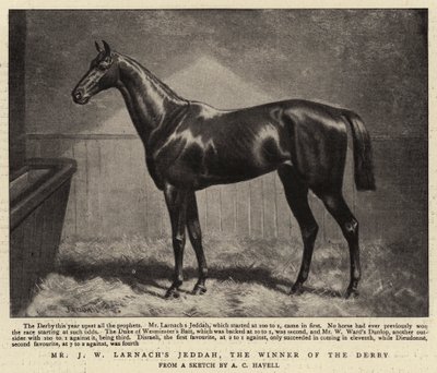 Mr J W Larnachs Jeddah, der Gewinner des Derbys von Alfred Charles Havell