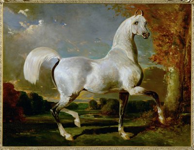 Arabisches Vollblut von Alfred Dedreux or de Dreux