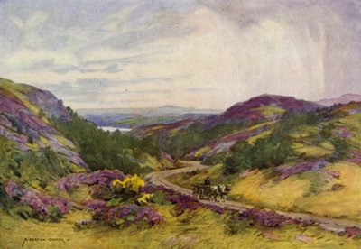 Dänemark: Raebild-Hügel, nahe Aalborg von Alfred Heaton Cooper
