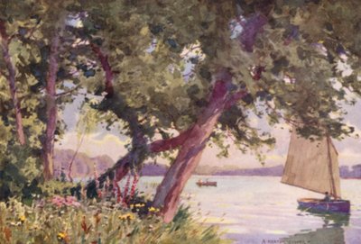 Fritton Lake, Suffolk, ein Sommermorgen von Alfred Heaton Cooper