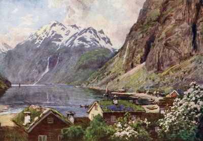 Geirangerfjord von Alfred Heaton Cooper