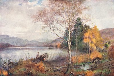 Lake District: Köhler, Coniston Lake von Alfred Heaton Cooper