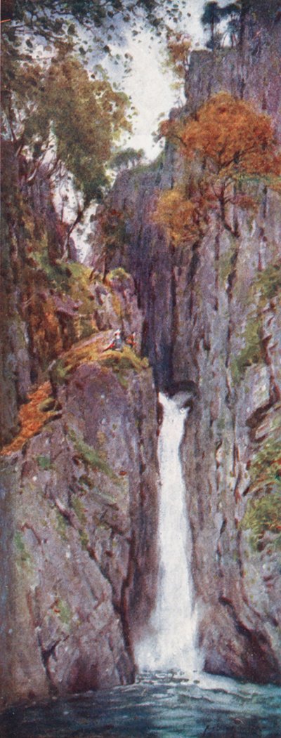 Lake District: Dalegarth Force, Eskdale von Alfred Heaton Cooper