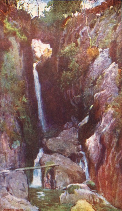 Lake District: Dungeon Ghyll Force, Langdale von Alfred Heaton Cooper
