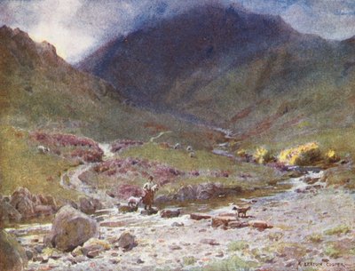 Lake District: Trittsteine, Far Easedale, Grasmere von Alfred Heaton Cooper