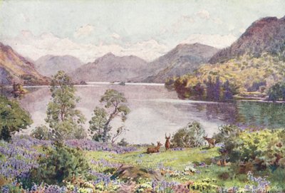 Lake District: Ullswater, von Gowbarrow Park, ein schwüler Junimorgen von Alfred Heaton Cooper