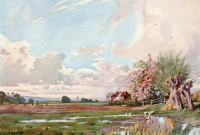 Die Insel Athelney (Farblithografie) von Alfred Heaton Cooper