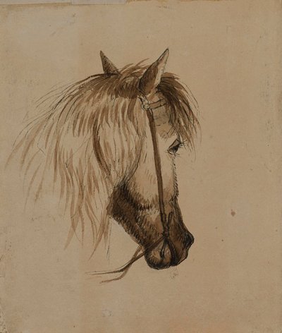 Kopf eines Pferdes von Alfred Jacob Miller