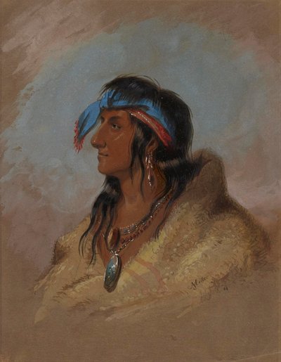 Weiße Feder von Alfred Jacob Miller