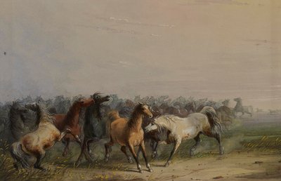 Wilde Pferde von Alfred Jacob Miller