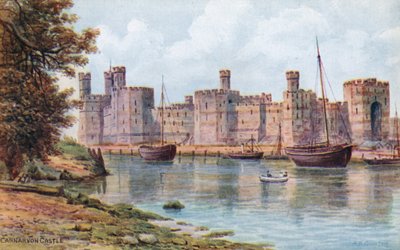 Schloss Carnarvon von Alfred Robert Quinton