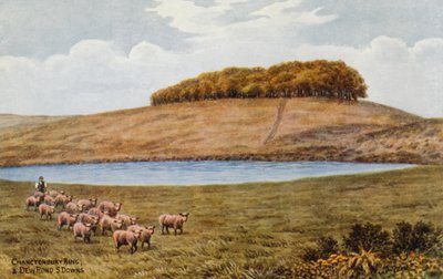 Chanctonbury Ring und Dew Pond, S Downs von Alfred Robert Quinton