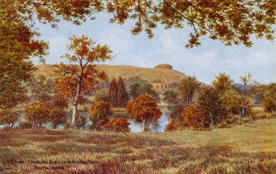 Chanctonbury Ring, vom Wiston Pond, South Downs von Alfred Robert Quinton