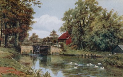 Coltishall Schleuse, an der Bure von Alfred Robert Quinton