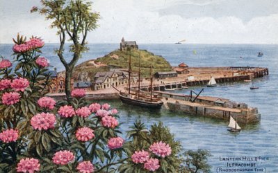 Lantern Hill und Pier, Ilfracombe, (Rhododendronzeit) von Alfred Robert Quinton