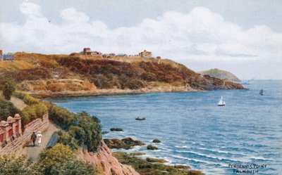 Pendennis Point, Falmouth von Alfred Robert Quinton